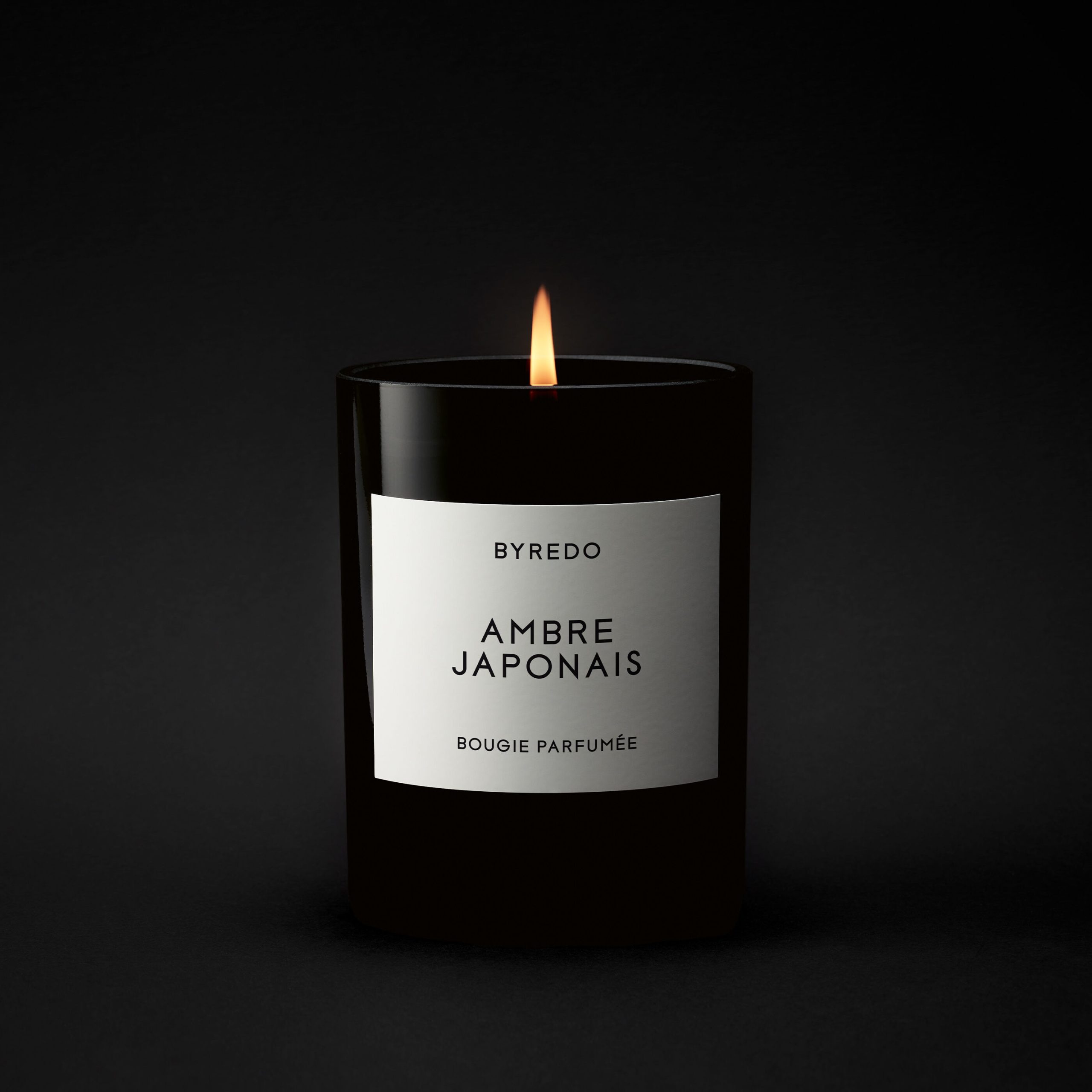 Ambre Japonais - Image 3