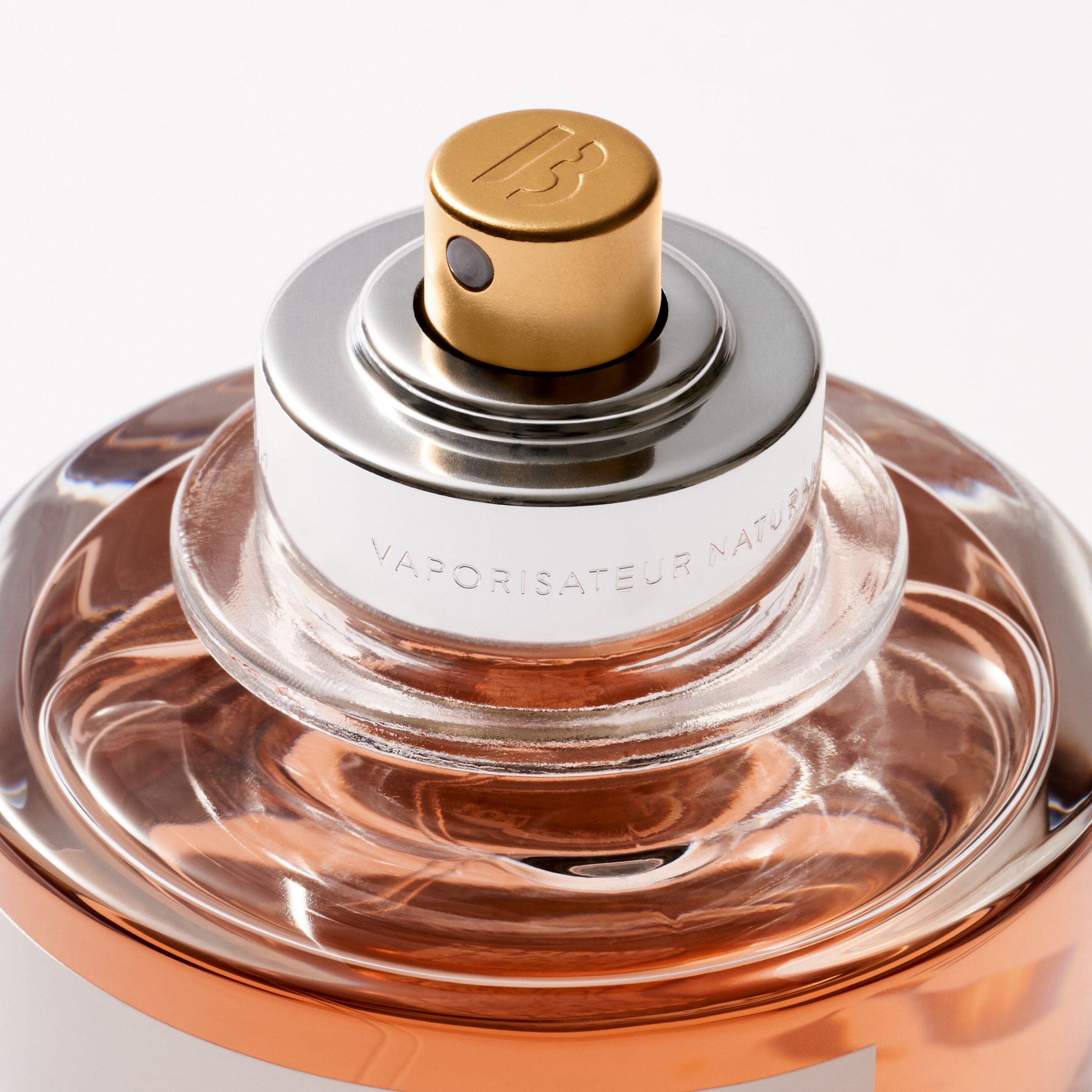 MG Absolu - Image 2