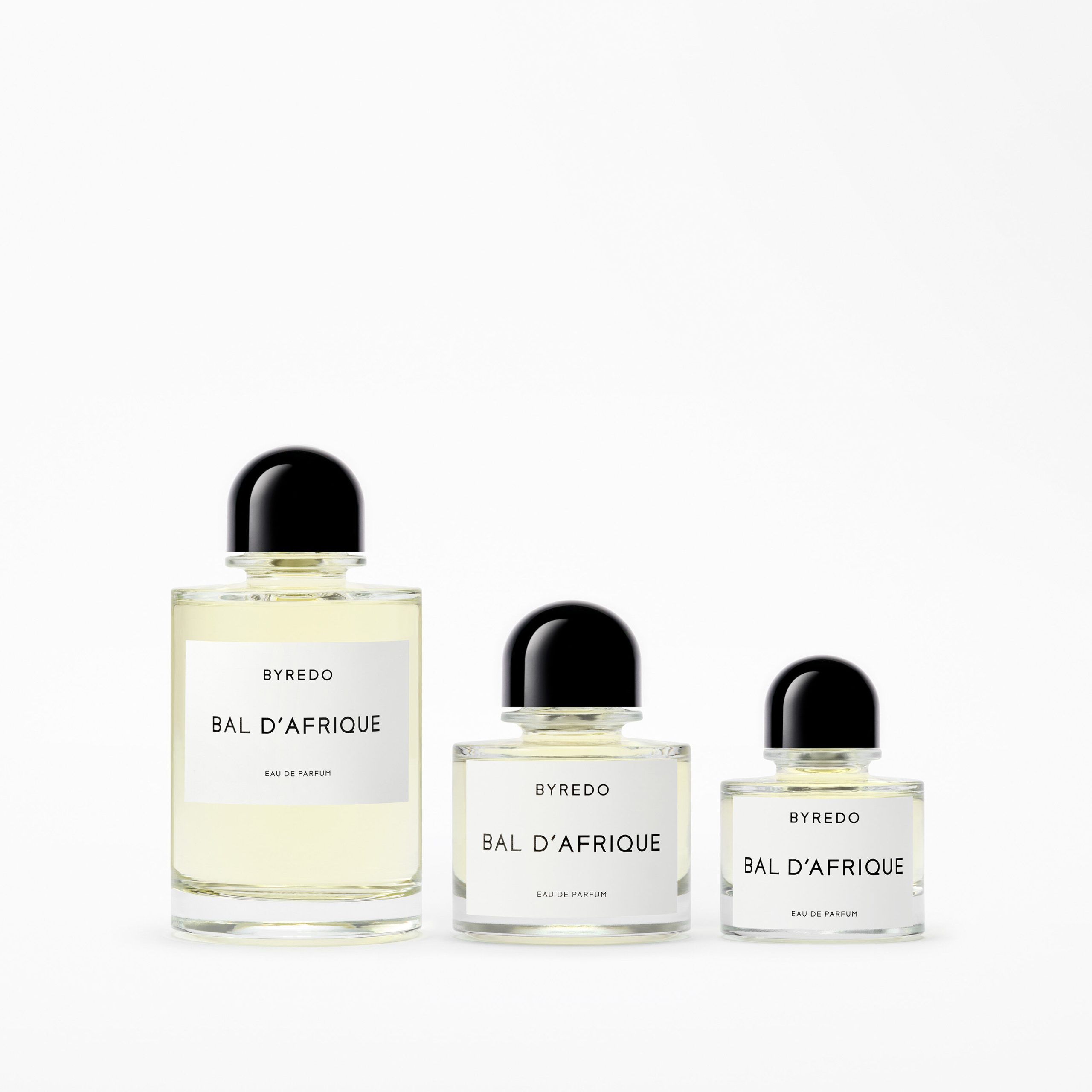 Bal d'Afrique - Image 7