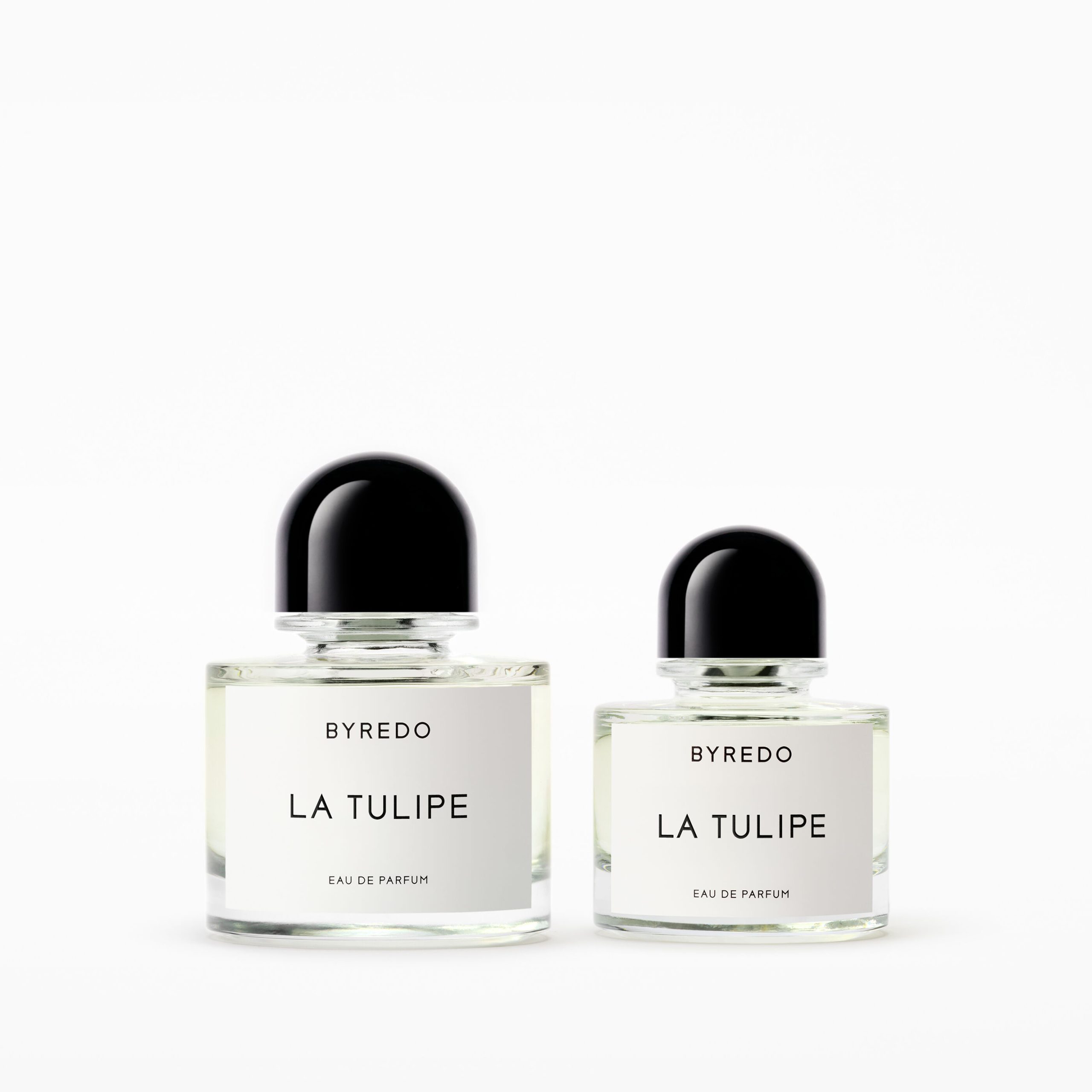 La Tulipe - Image 4