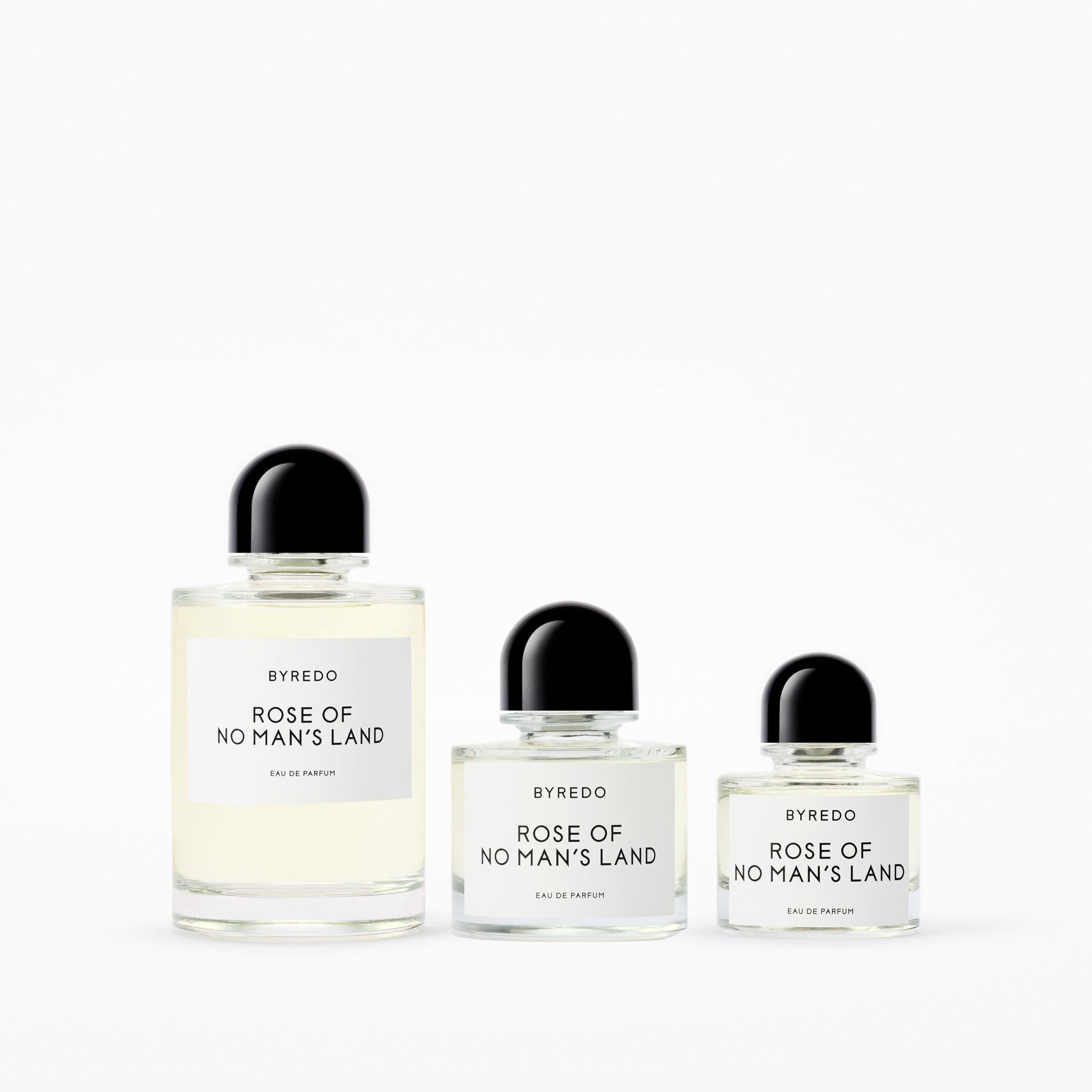 Rose Of No Man's Land - Image 7