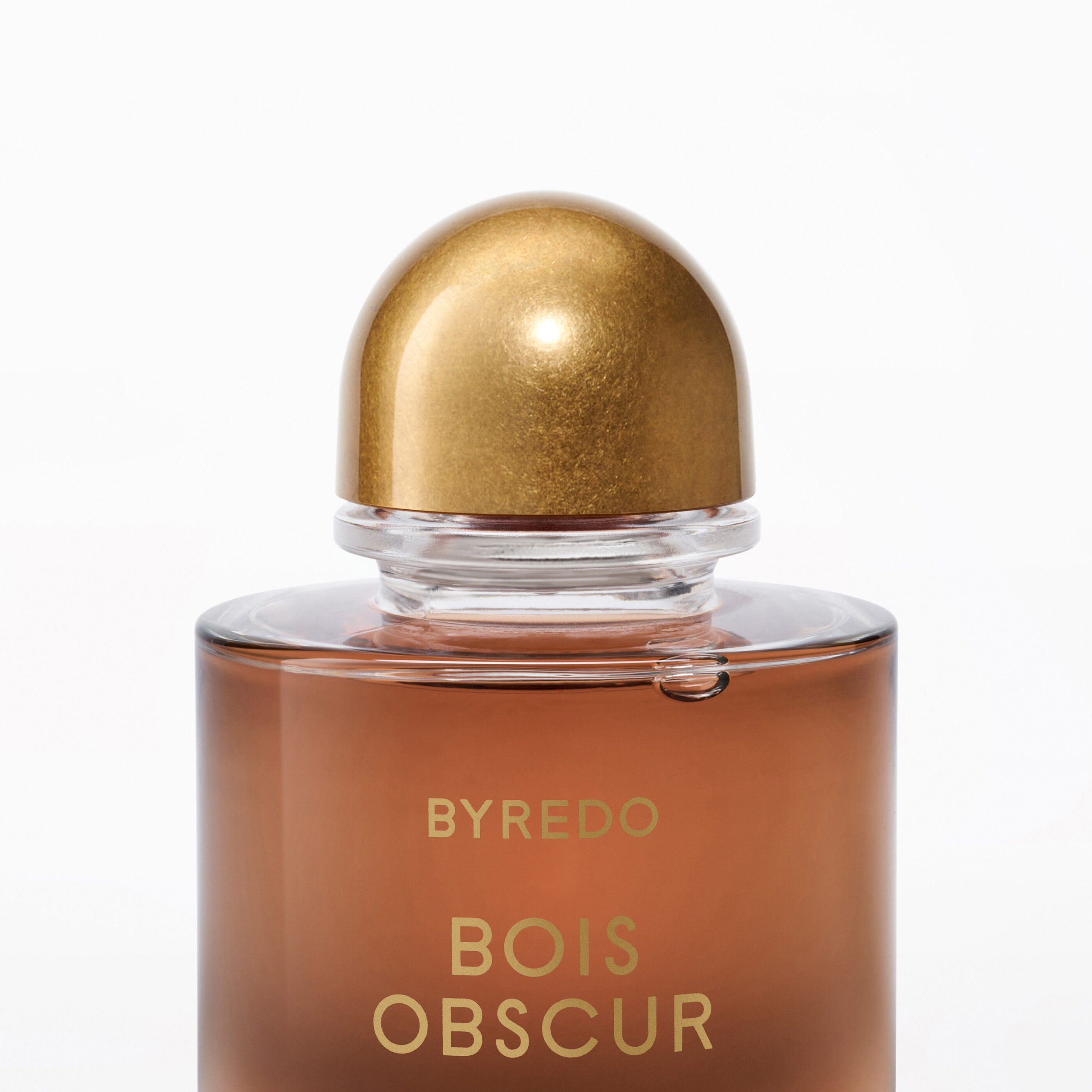 Bois Obscur - Image 3