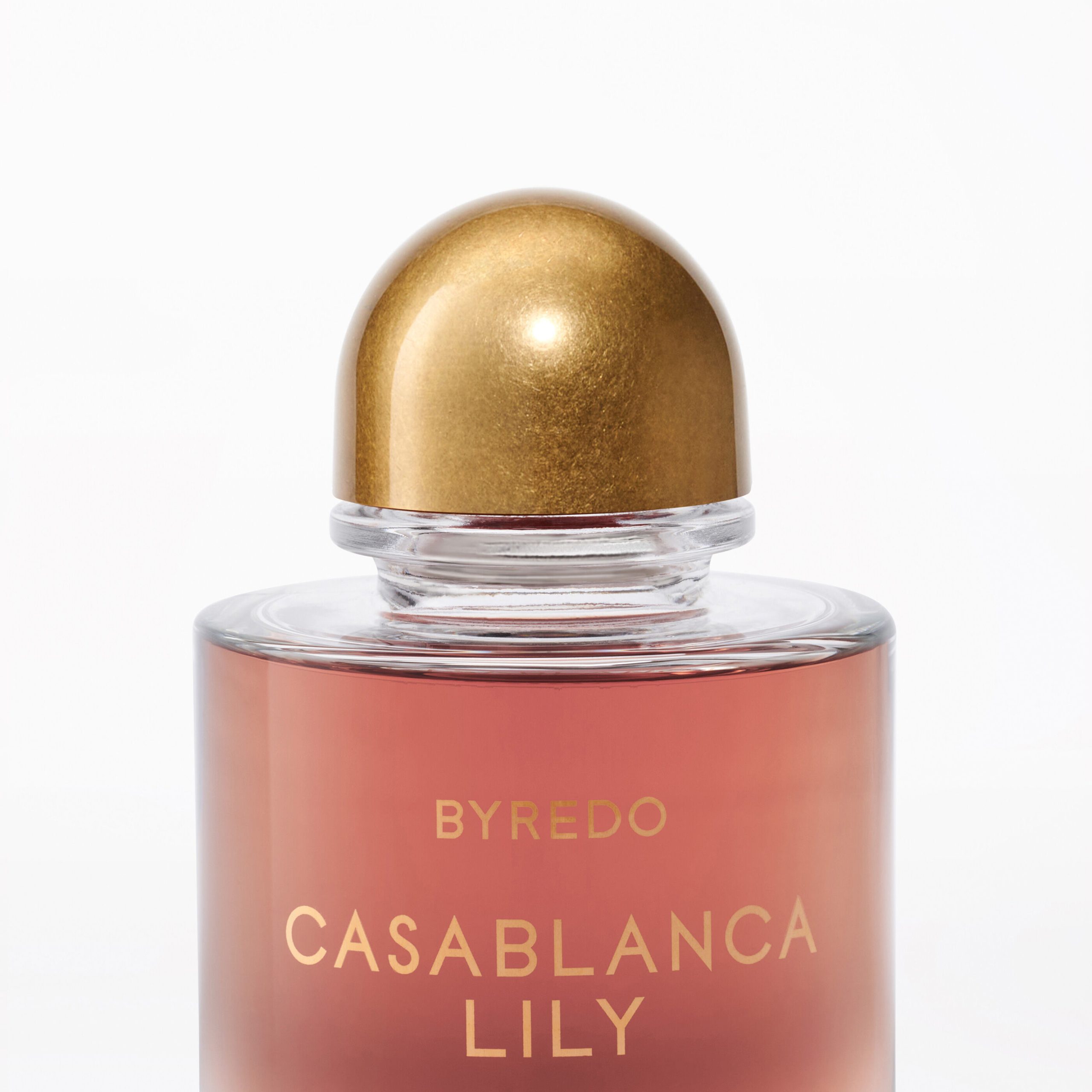 Casablanca Lily - Image 2