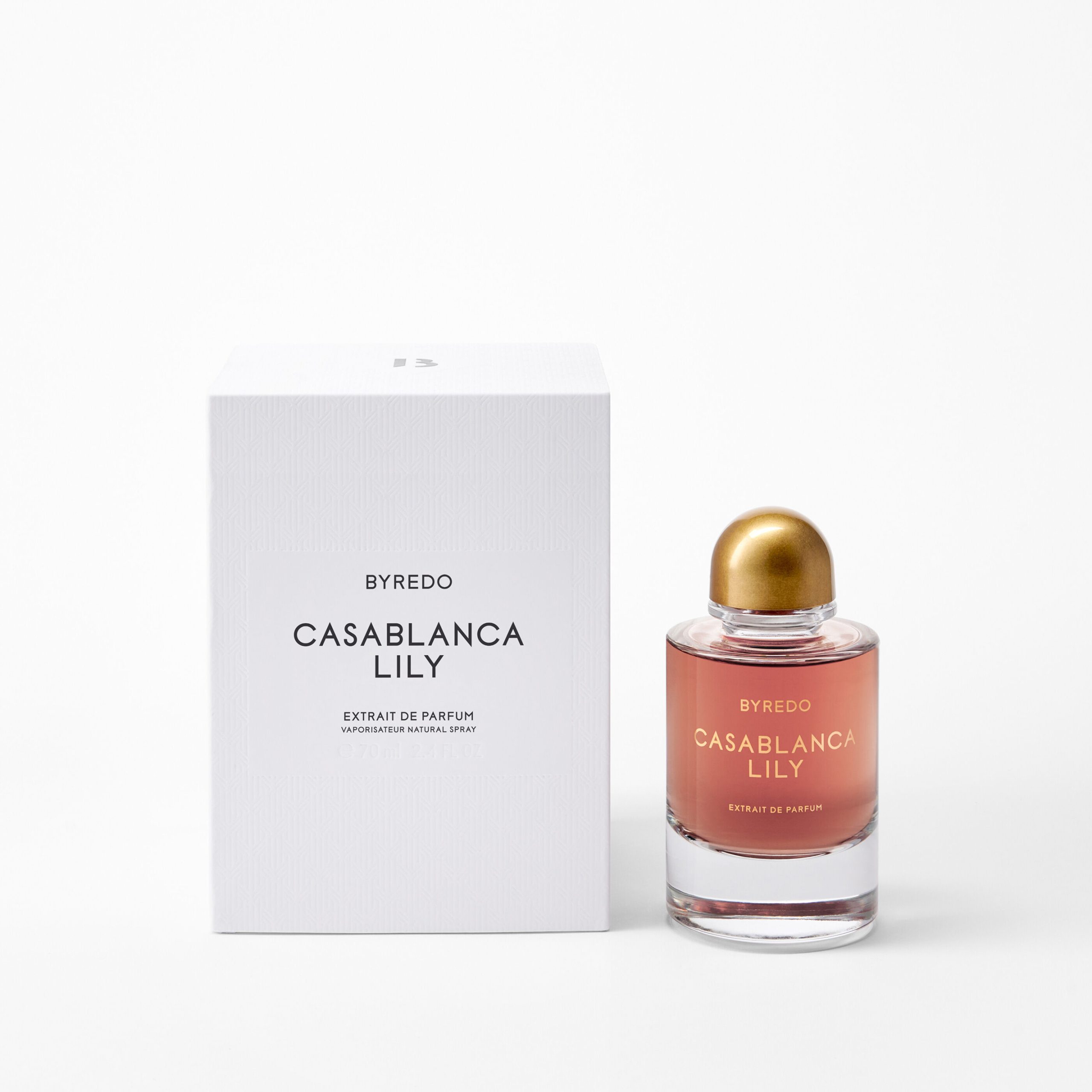 Casablanca Lily - Image 5