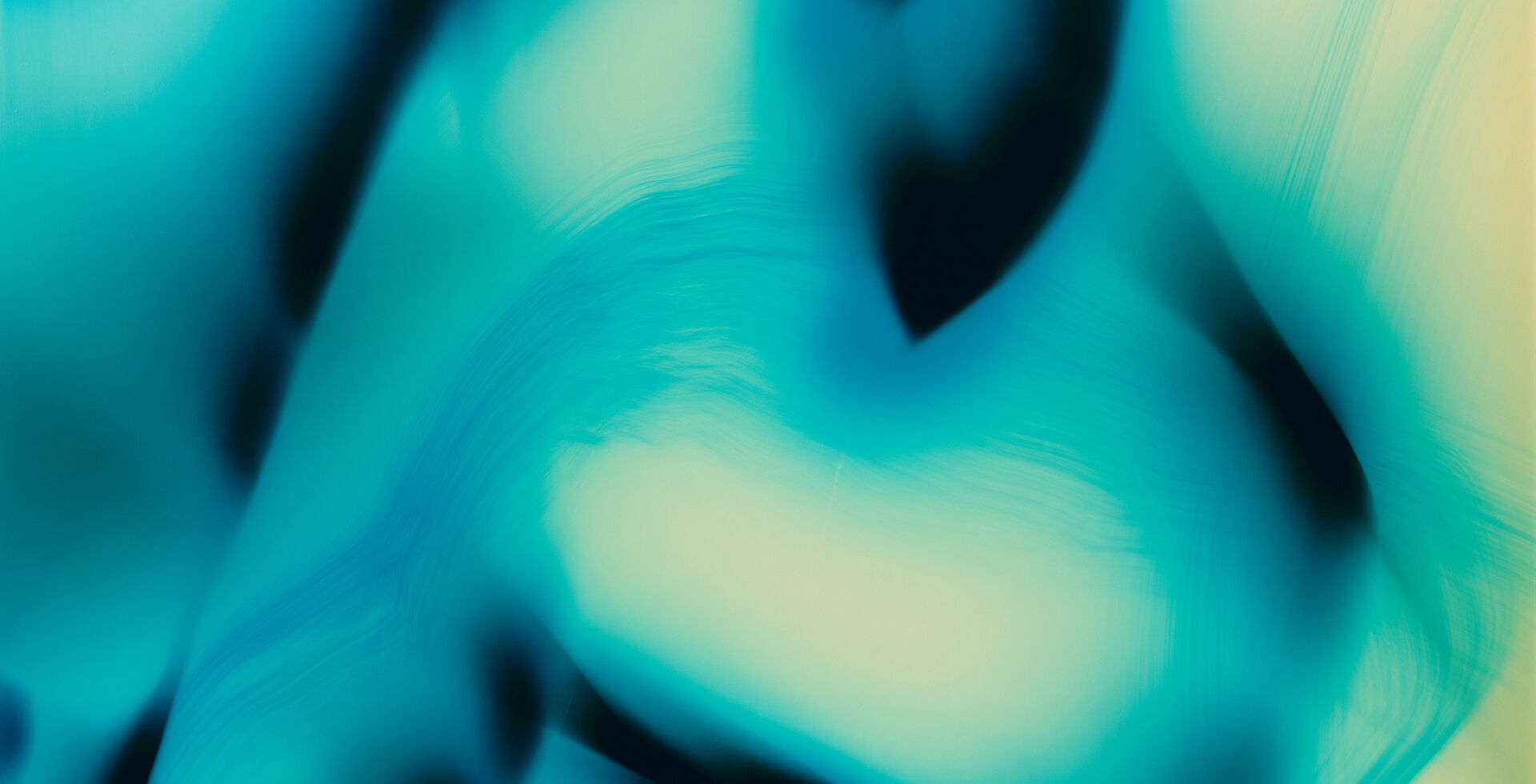 Bois Obscur - Image 7