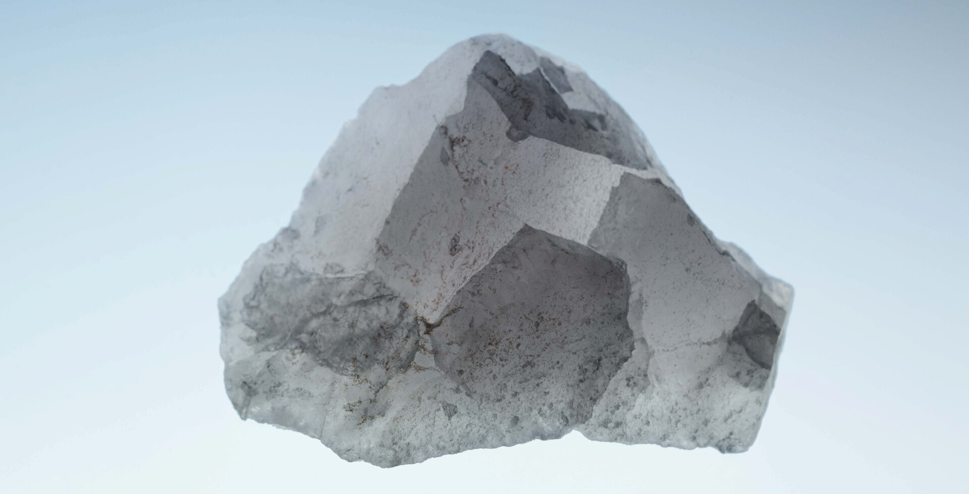 Blanche - Image 5